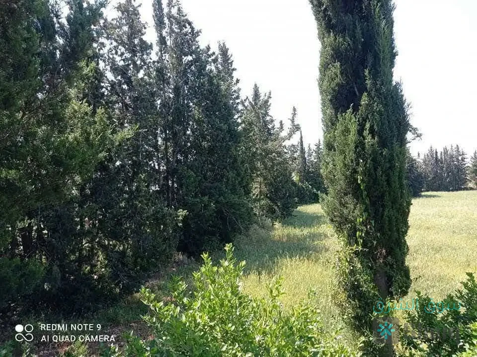 ارض للبيع — 3