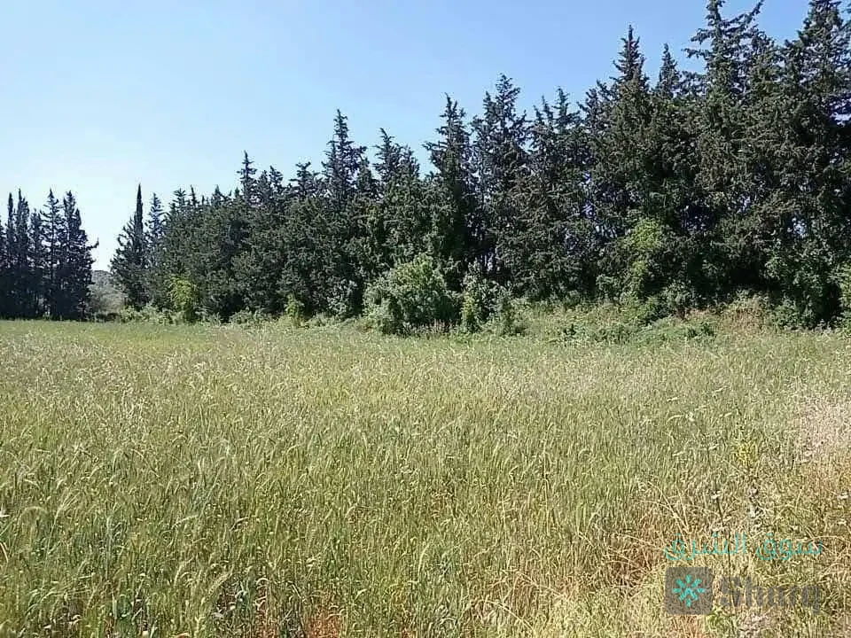 ارض للبيع — 4